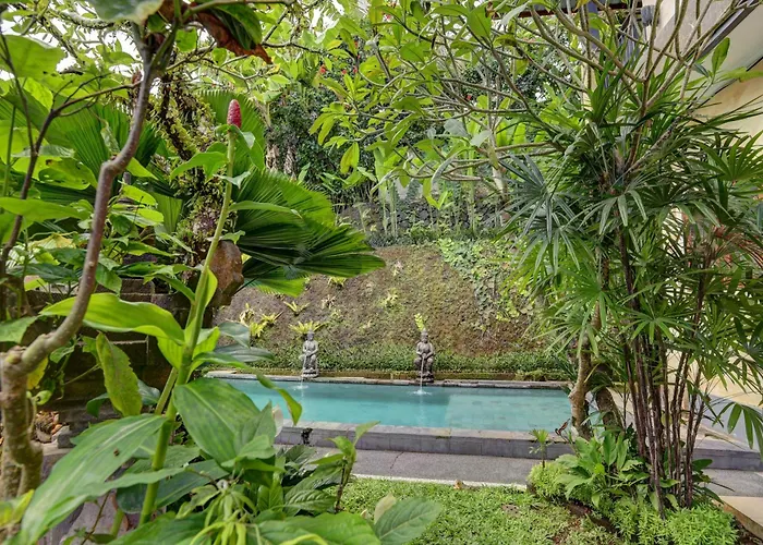 Tiying Ampel Pensión 3*